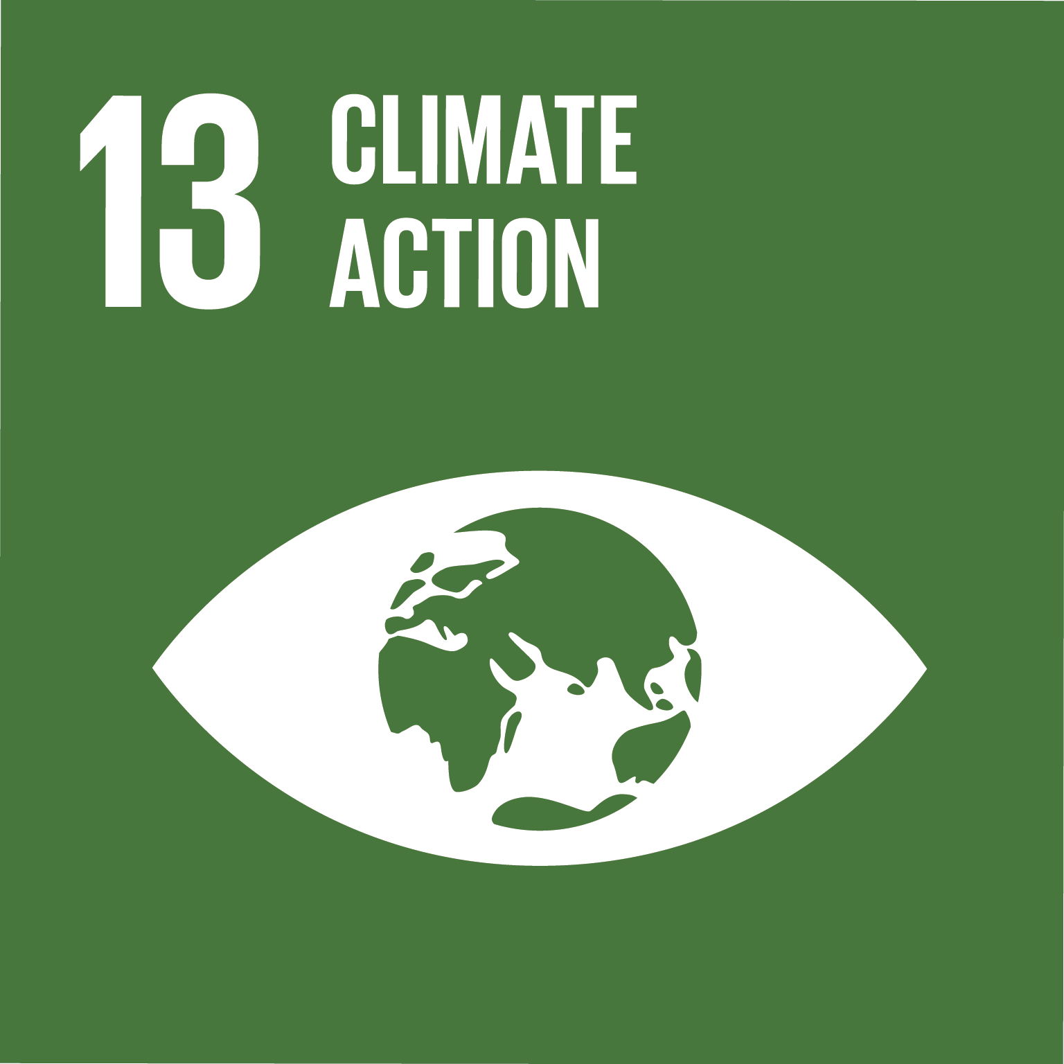 Sustainability Goal 13