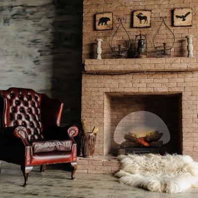 Dimplex Optiflame Logset 20" - Inserto decorativo elétrico autônomo para lareiras existentes